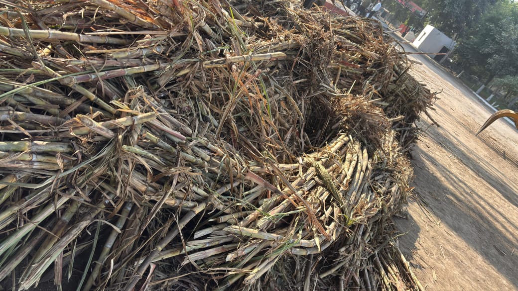 पलवल शुगर मिल में गन्ना गुणवत्ता की जांच करते अधिकारी