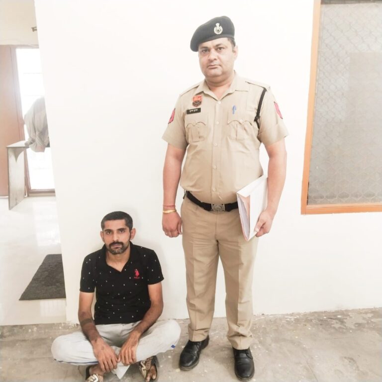 WhatsApp Image 2025-10-30 at 17.02.39