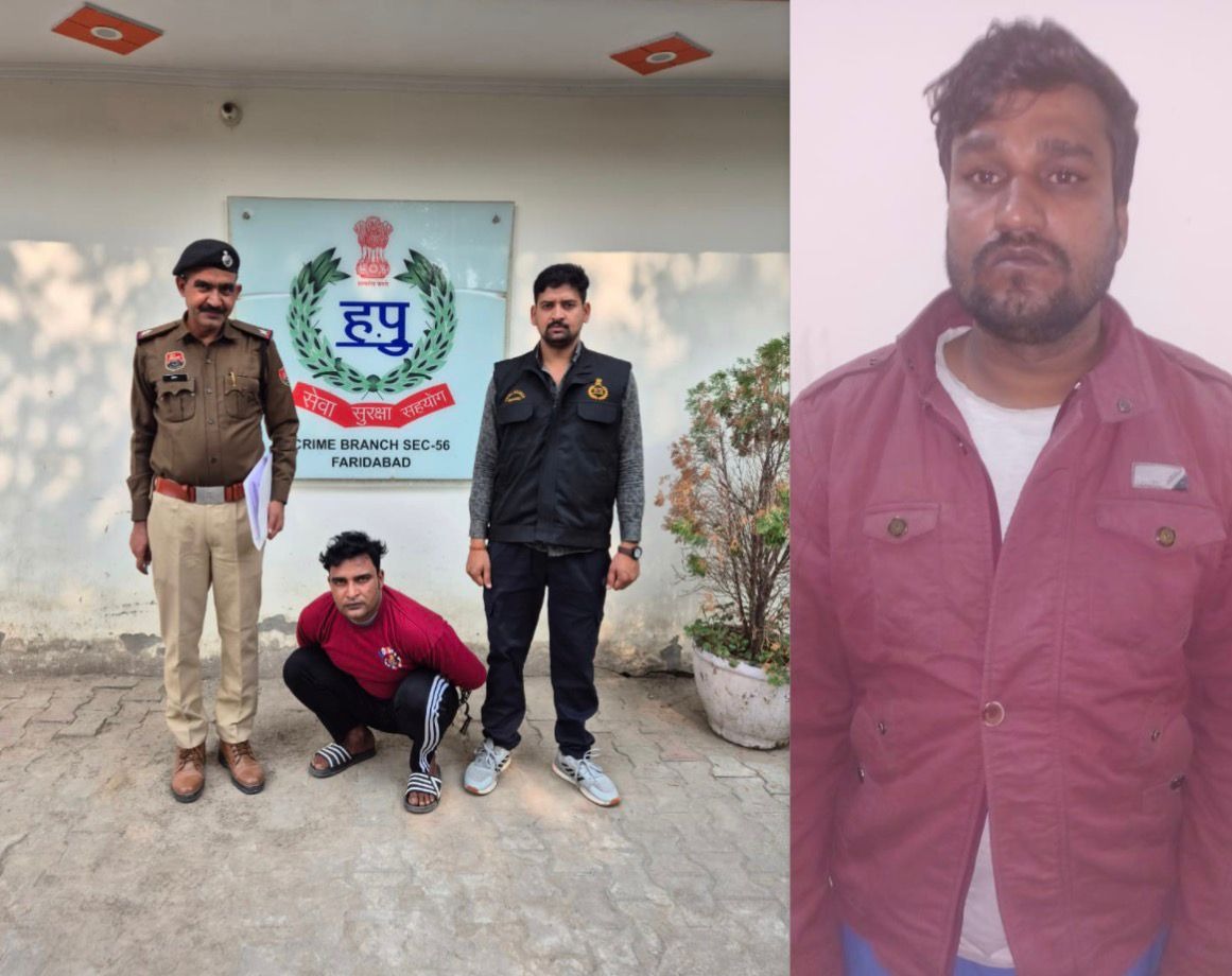 993f24cb-bc2e-4154-be6f-761c5719932d