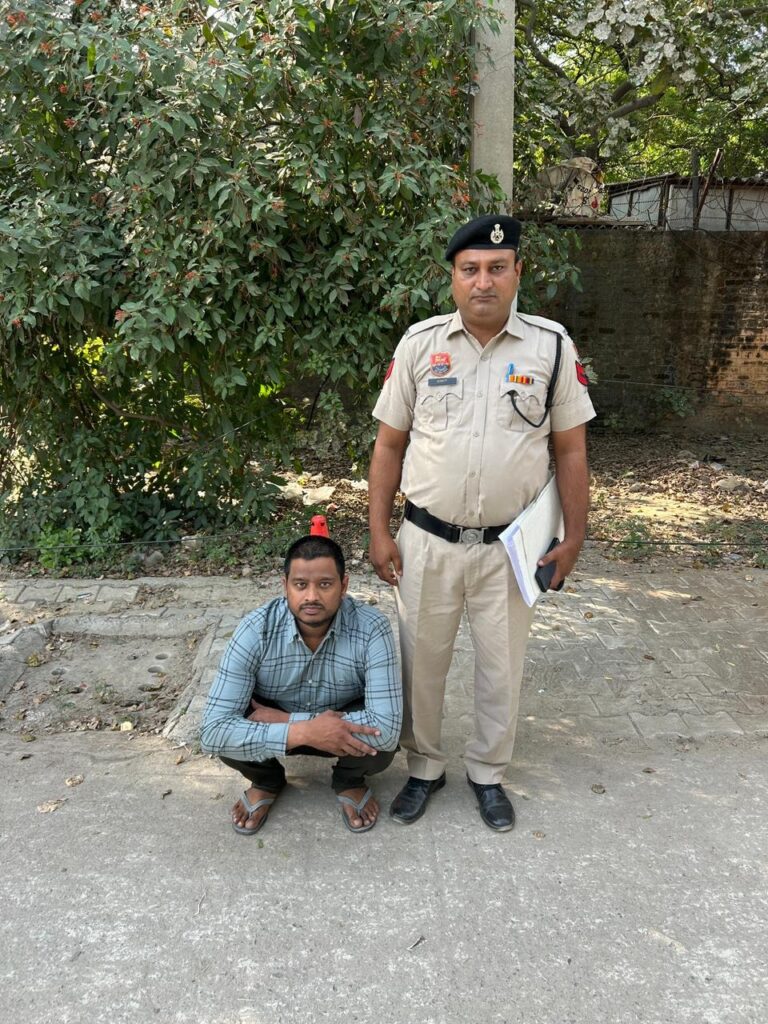 WhatsApp Image 2025-11-05 at 17.23.09