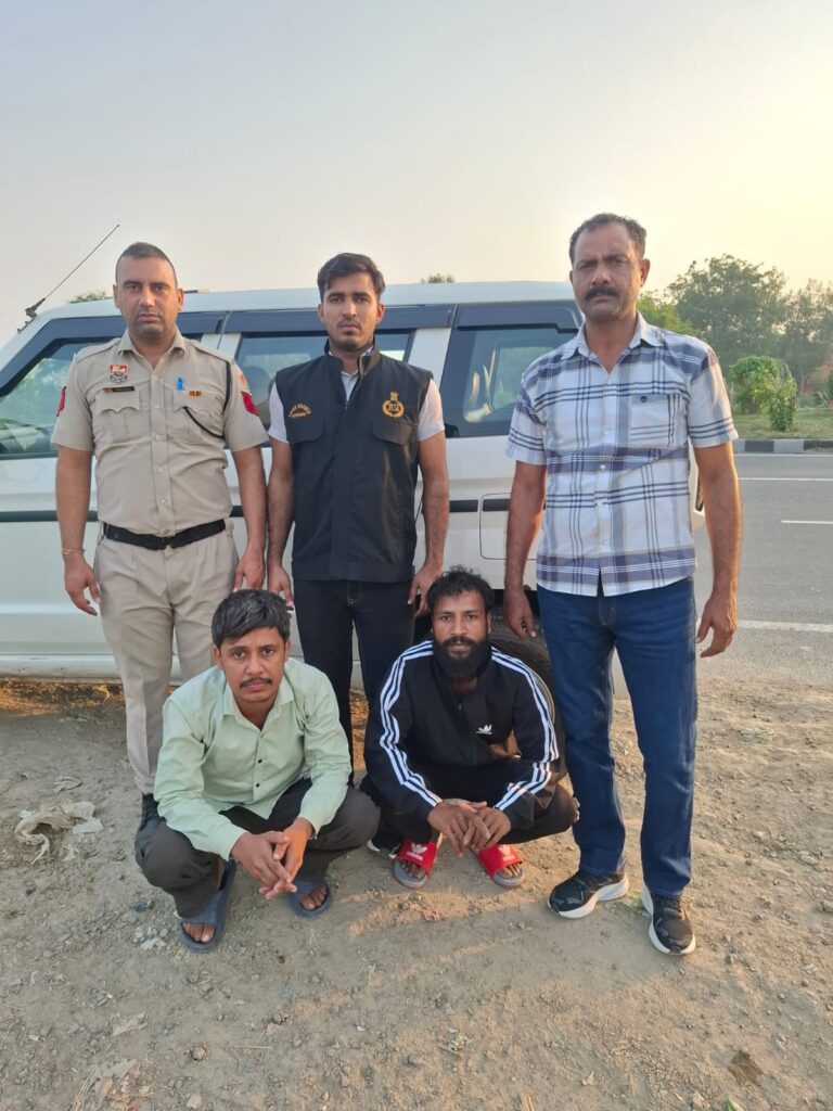 WhatsApp Image 2025-11-08 at 16.57.46