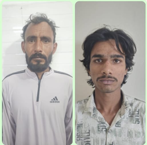 WhatsApp Image 2025-11-09 at 16.18.38