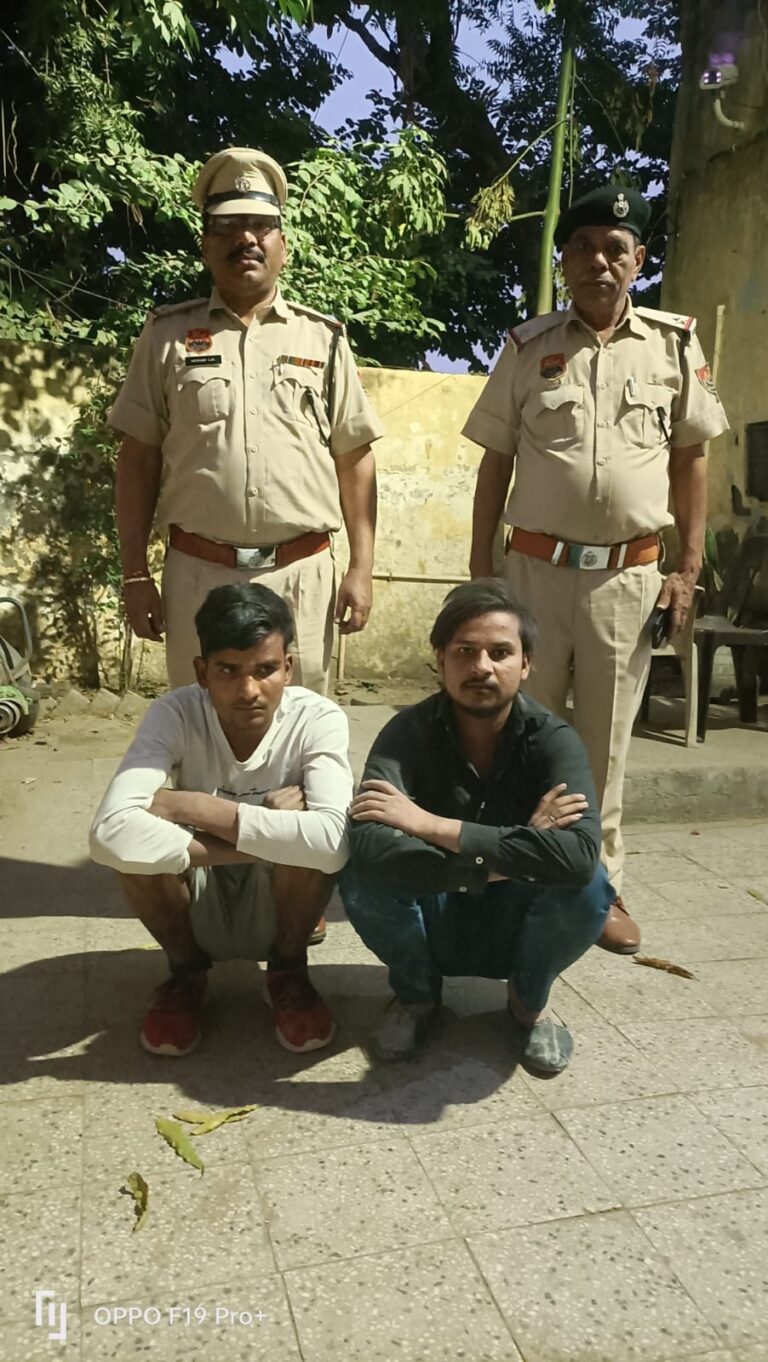 WhatsApp Image 2025-11-11 at 18.03.22