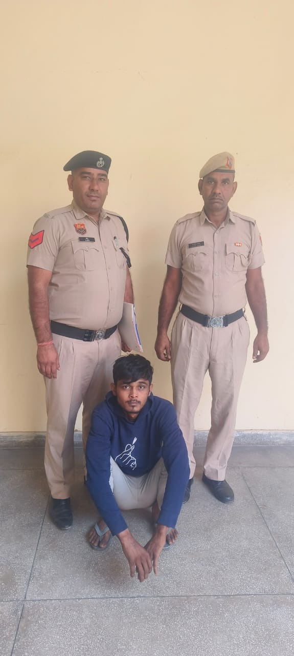 WhatsApp Image 2025-11-13 at 17.11.55