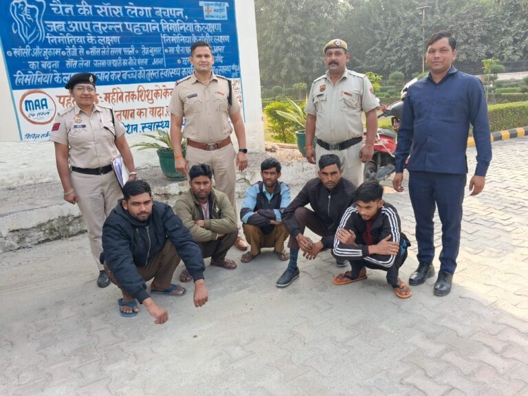 WhatsApp Image 2025-11-13 at 17.12.17