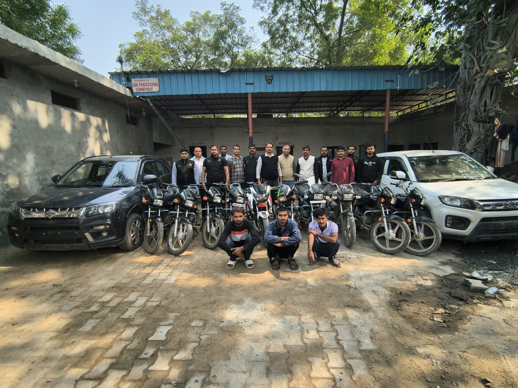 WhatsApp Image 2025-11-20 at 18.11.33