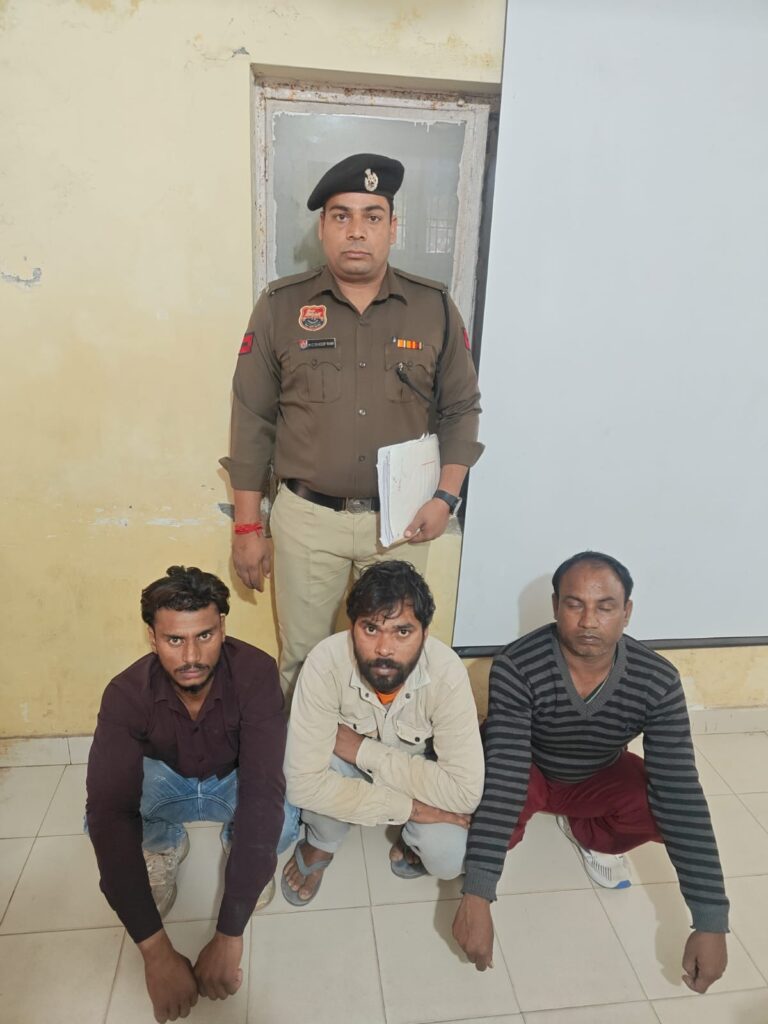 WhatsApp Image 2025-11-26 at 19.54.17