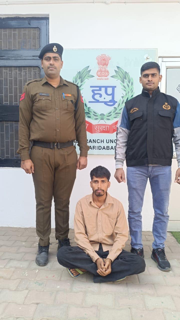 फरीदाबाद पुलिस द्वारा ऑपरेशन हॉटस्पॉट डोमिनेशन में बरामद हथियार, गांजा और अवैध शराब।