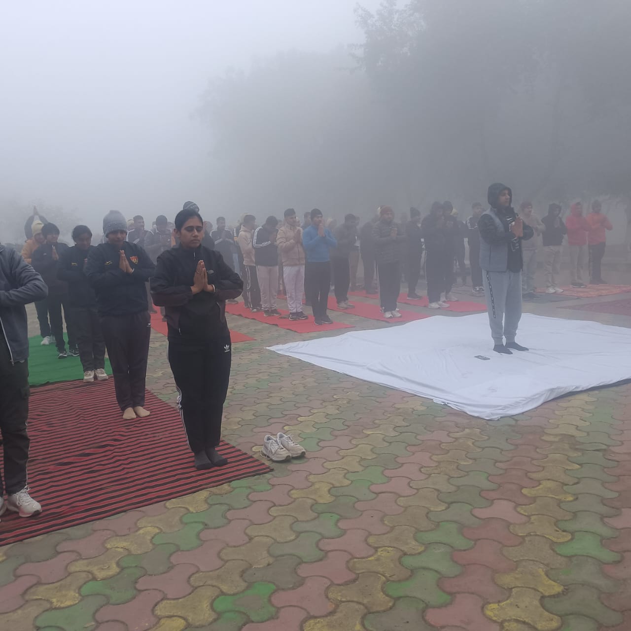 पलवल आयुष विभाग सूर्य नमस्कार कार्यक्रम