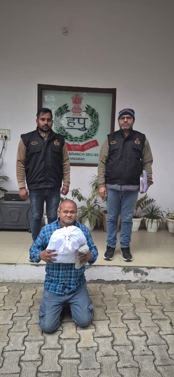 फरीदाबाद पुलिस द्वारा गांजा तस्कर की गिरफ्तारी और बरामद गांजा