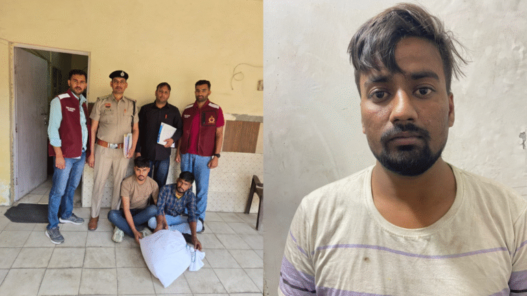 Add a little bit of body text (11)