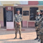 Add a little bit of body text (13)